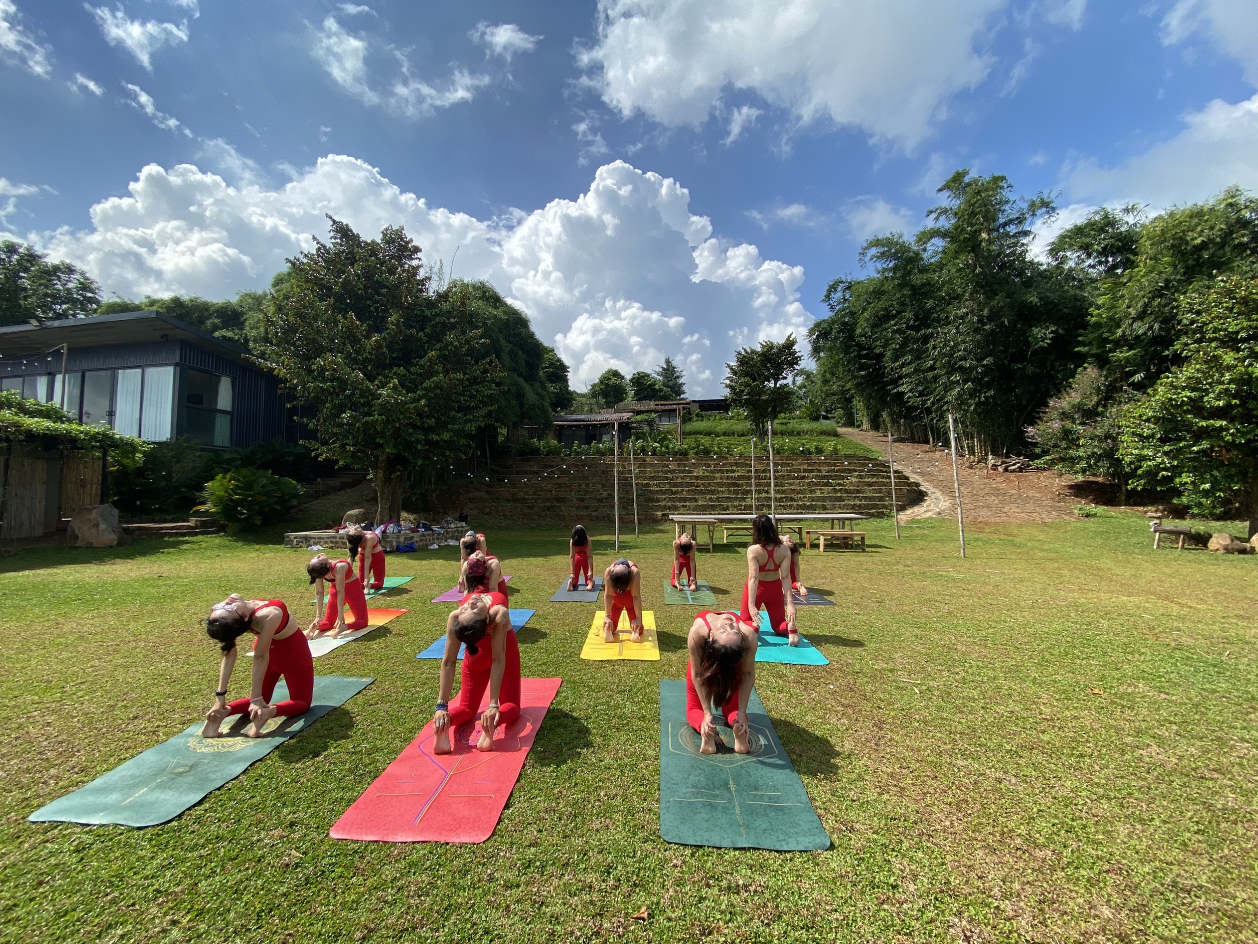 B&atilde;i cỏ th&iacute;ch hợp với c&aacute;c b&agrave;i tập Yoga ngo&agrave;i trời