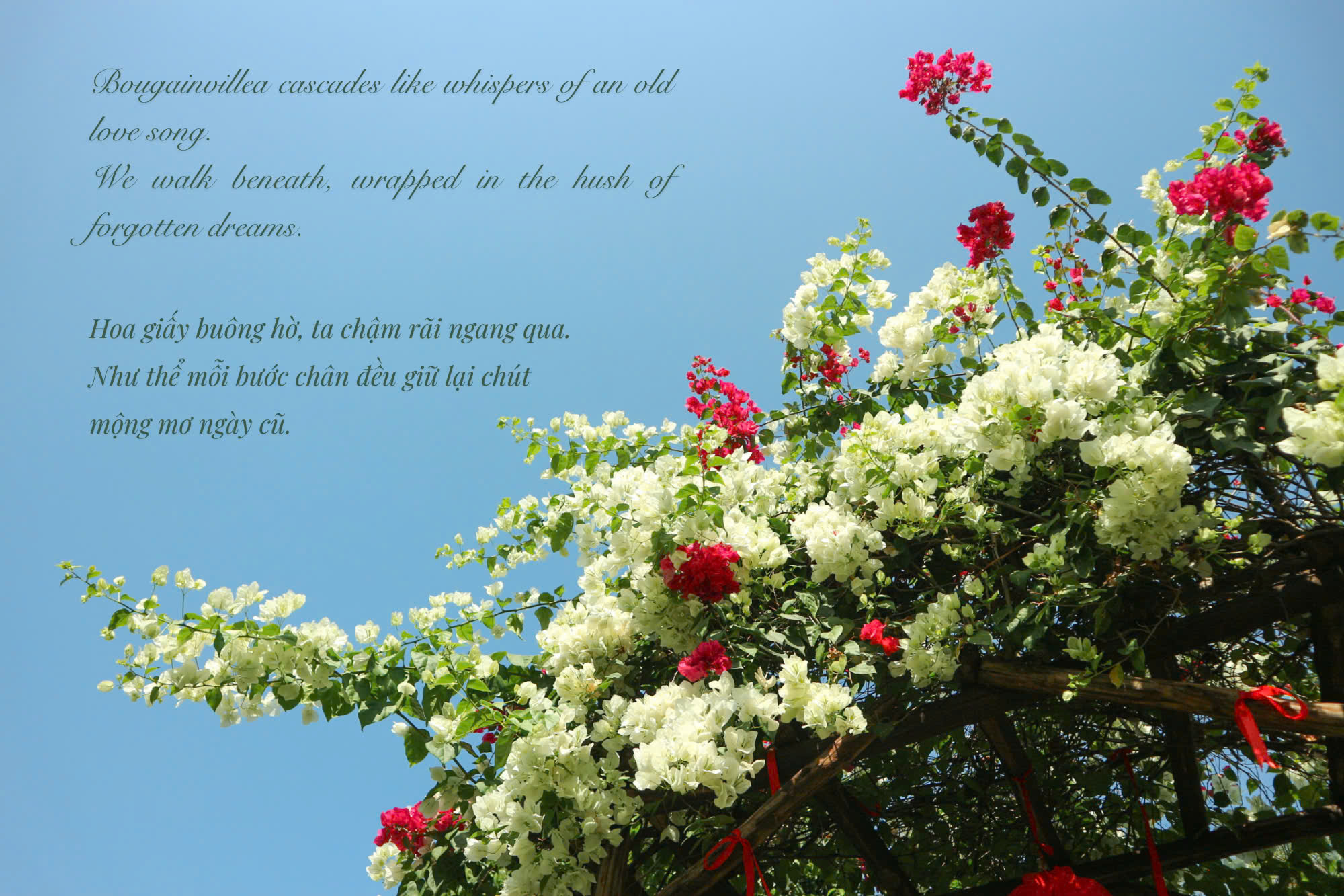 Valentine - Ng&agrave;y của những điều dịu d&agrave;ng 