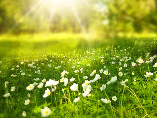  th&aacute;ng 7 n&ecirc;n đi du lịch ở đ&acirc;u