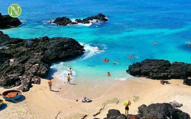 biển tr&agrave; cổ