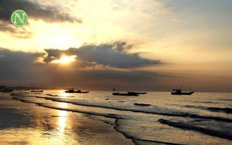 b&atilde;i biển tr&agrave; cổ