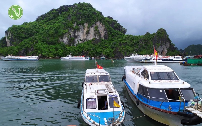 phương tiện di chuyển đảo C&ocirc; t&ocirc;