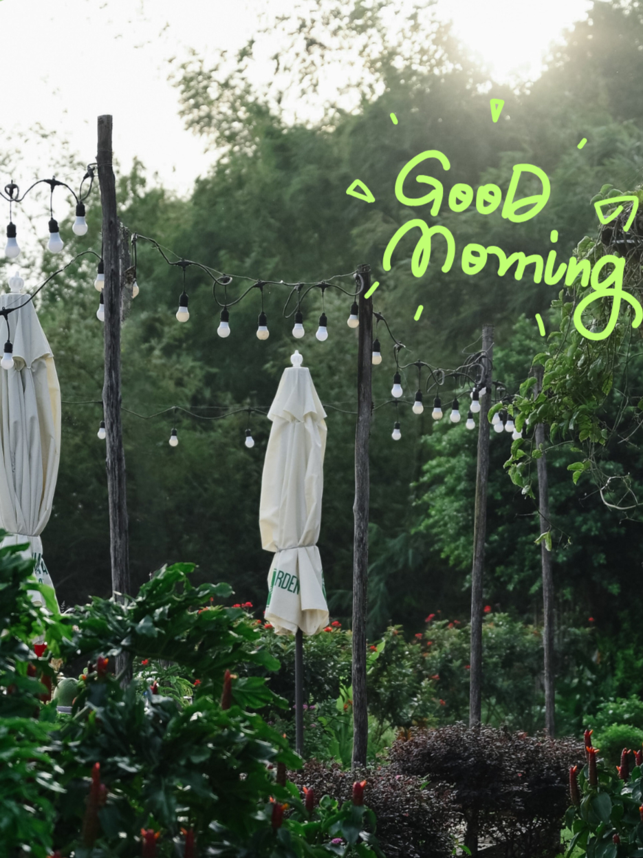 B&igrave;nh minh tại Nomia Garden